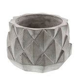Sago Cement Planter - Sm