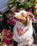 FLORAL PET BANDANAS (Options Available)