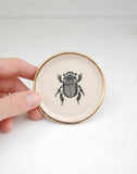 Little Beetle: Tiny Decor Dish (3”)