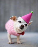 PAWTY PET HAT - FOR DOGS AND CATS (Options Available)