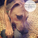Napa Valley Tweed Dog Toy: Medium / Ivory Lettering on Grey Tweed Toy