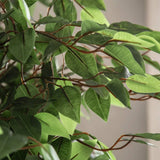 6' Artificial Ficus Tree