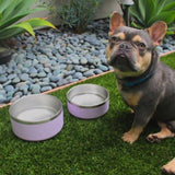 Stainless Steel Pet Food + Water Bowl | 32oz and 64oz