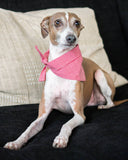 GINGHAM PET BANDANAS (Options Available)