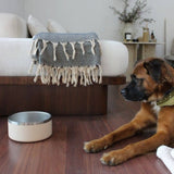 Stainless Steel Pet Food + Water Bowl | 32oz and 64oz