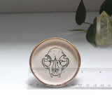 Cat Skull :(Frontal View): Tiny Decor Dish (3”)r