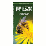 Bees & Other Pollinators