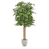 6' Artificial Ficus Tree