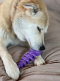 Fish Bone Ultra Durable Nylon Chew Toy