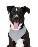 GINGHAM PET BANDANAS (Options Available)