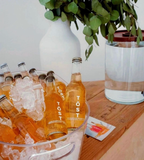 4 PACK PRICE TÖST - 250mL - 4-Packs any flavor