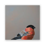 Bullfinch Wood Wall Art Decor