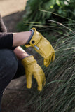 Kunar Utility Gloves