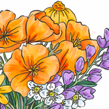 California Native Wildflowers Greeting Card