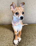 FLORAL PET BANDANAS (Options Available)