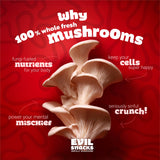 Evil Snacks Crunchy Mushroom Chips Sriracha Lime Flavor, 2oz