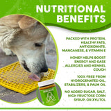 Dogtastic Gourmet Peanut Butter for Dogs - Pumpkin  Flavo