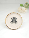 Little Beetle: Tiny Decor Dish (3”)
