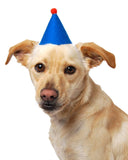 PAWTY PET HAT - FOR DOGS AND CATS (Options Available)