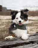 FLORAL PET BANDANAS (Options Available)