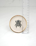 Little Beetle: Tiny Decor Dish (3”)