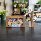 Build A Plant - Monstera