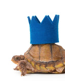 PARTY BEAST CROWN (Options Available)