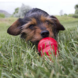 KONG® Easy Treat® Peanut Butter 8 oz