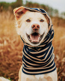 MB PET SNOOD (Options Available)