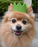 PARTY BEAST CROWN (Options Available)