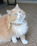 GINGHAM PET NECKTIES (Options Available)