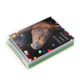 Sleigh Girl Sleigh Christmas Card