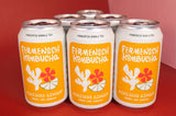 *HIBISCUS GINGER* Kombucha - 24-Can Case