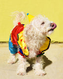 PAWTY PET HAT - FOR DOGS AND CATS (Options Available)