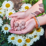 Bright Side Seed Balls