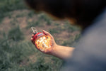 Beacon Hanging Light - Outdoor Lantern