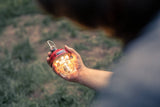 Beacon Hanging Light - Outdoor Lantern