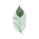 Peacock Feather Tattoo Pair