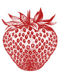 Strawberry Kid's Organic Cotton Tee