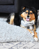 MB PET SNOOD (Options Available)