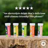 Electrolyte Hydration Tablets in 3 Natural Flavors + Display