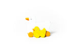 Duck Big & Little Wooden Roller
