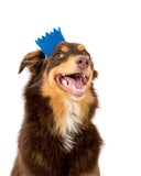 PARTY BEAST CROWN (Options Available)