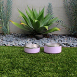 Stainless Steel Pet Food + Water Bowl | 32oz and 64oz