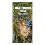 California Birds