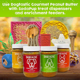 Dogtastic Gourmet Peanut Butter for Dogs - Pumpkin  Flavo