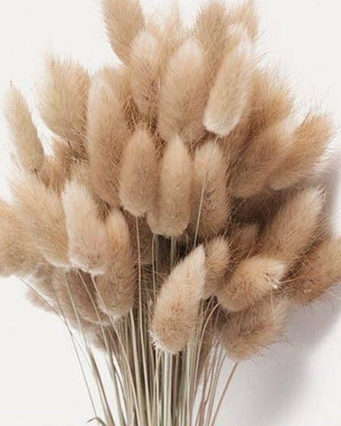 Natural Brown Bunny Tails