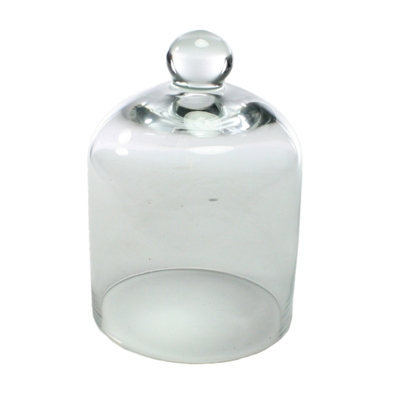 Glass Dome - Mini - Clear