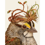 Caesar Bird Card