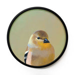 8 inch Round Goldfinch Framed Wings on Wood Decor